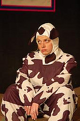 I'm a cow